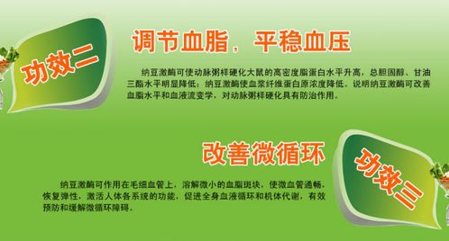 华以纳豆银杏片保健食品OEM代加工厂家招商，共创健康产业新机遇